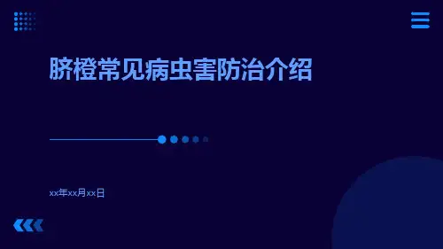 脐橙常见病虫害防治介绍