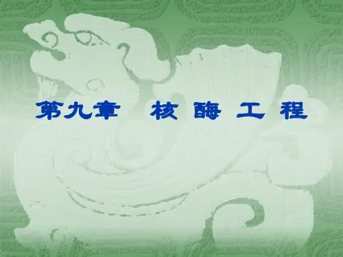 酶九章-核酶 PPT课件