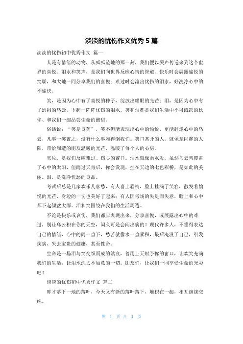 淡淡的忧伤作文优秀5篇
