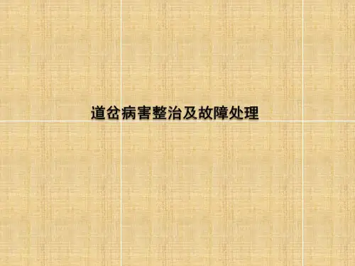 道岔病害整治及故障处理