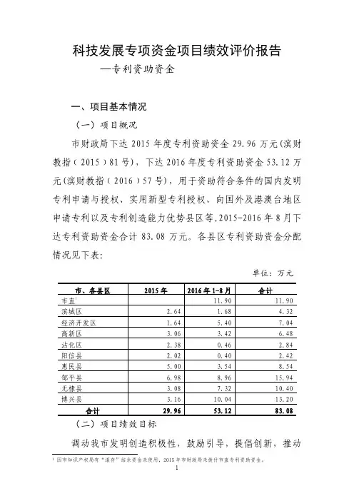 科技发展专项资金项目绩效评价报告