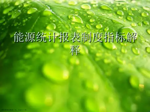 能源统计报表制度指标解释