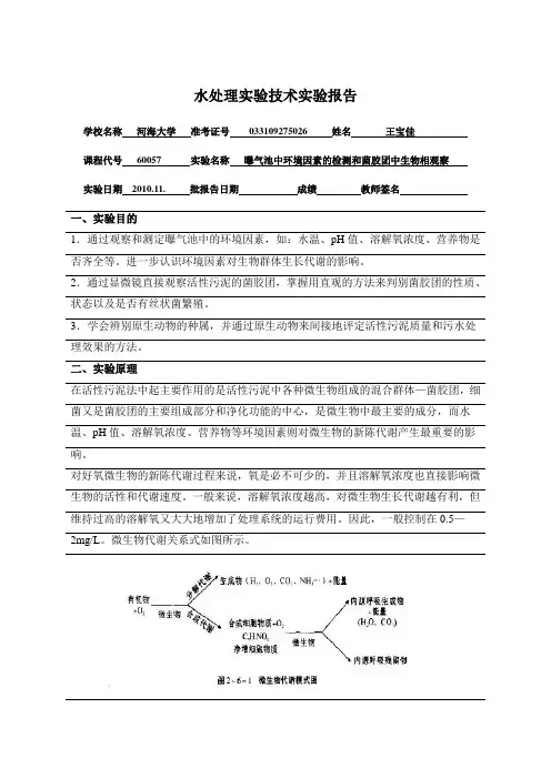 水处理实验技术5-曝气池中环境因素的检测和菌胶团中生物相观察