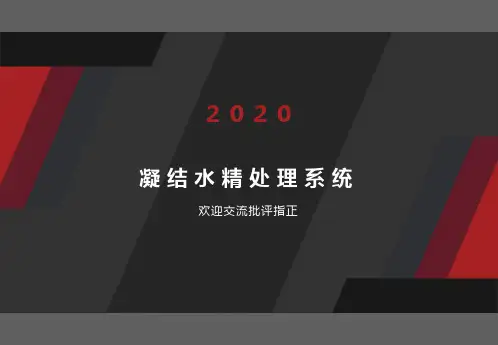 凝结水精处理系统(精品)