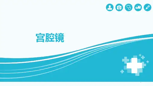 宫腔镜ppt课件