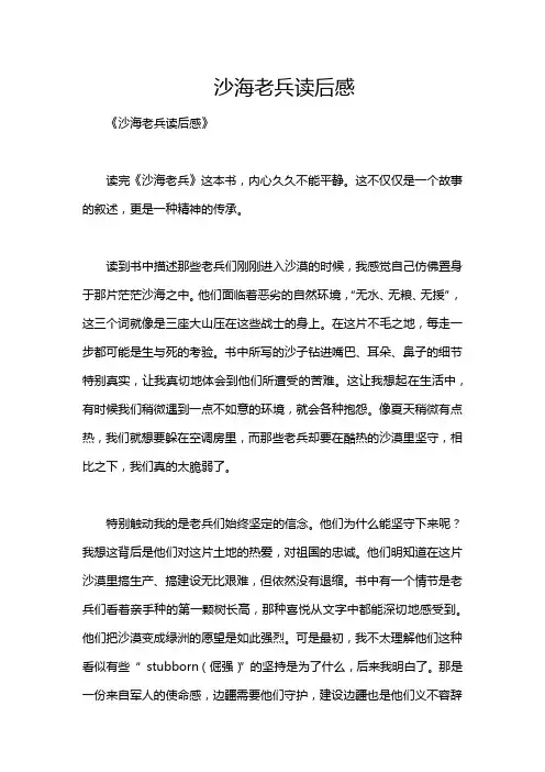 沙海老兵读后感