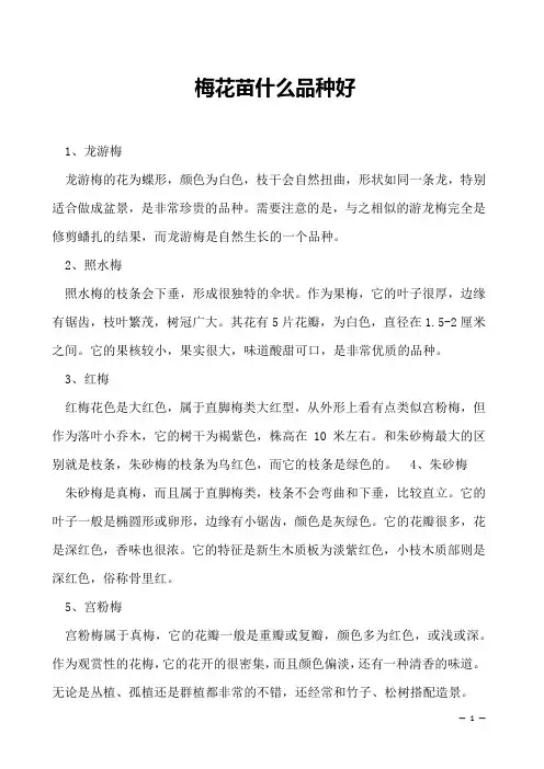 梅花苗什么品种好