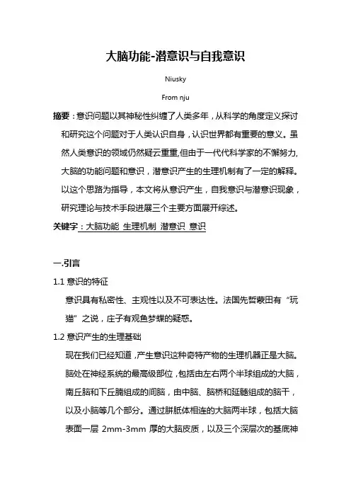 大脑功能-潜意识与自我意识