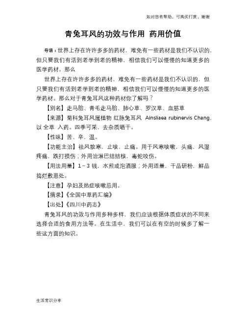 青兔耳风的功效与作用 药用价值