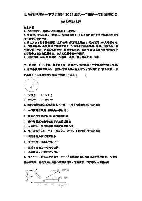 山东省聊城第一中学老校区2024届高一生物第一学期期末综合测试模拟试题含解析