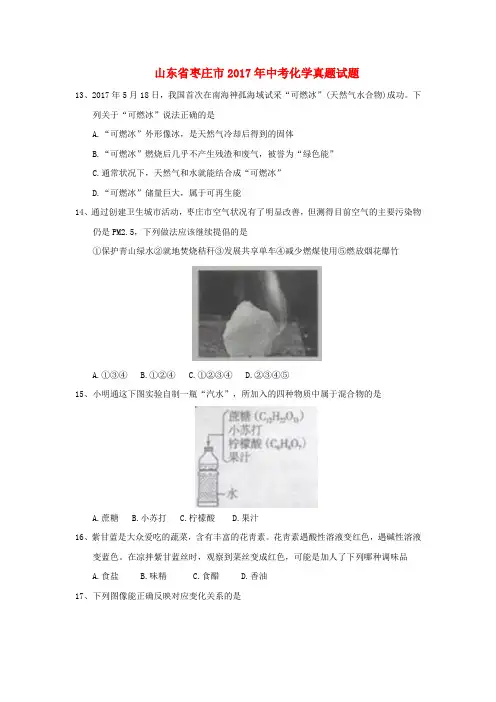 山东省枣庄市2017年中考化学真题试题(含答案)