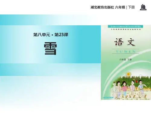 《雪》语文教学PPT课件(4篇)