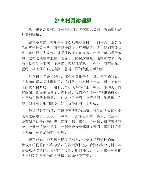 沙枣树阅读理解
