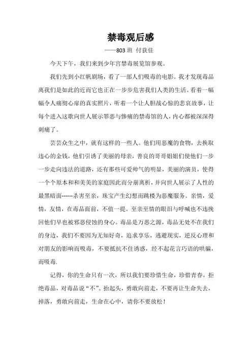 参观禁毒教育观后感(803)