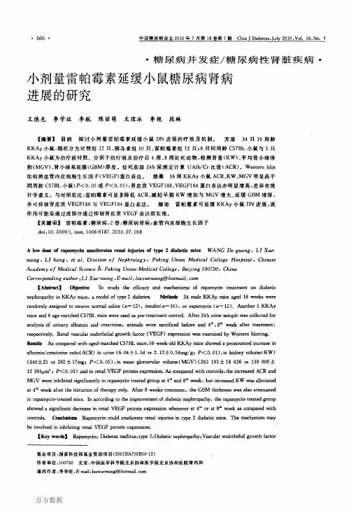 小剂量雷帕霉素延缓小鼠糖尿病肾病进展的研究