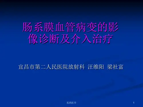 肠系膜血管病变的影像诊断及介入治疗(医学知识)