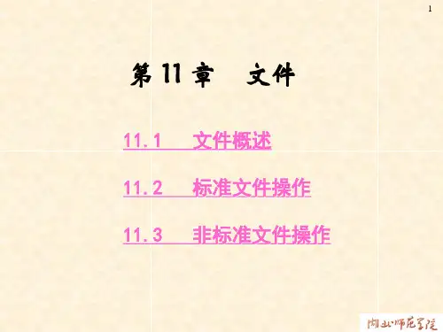 111 文件概述 111文件概述