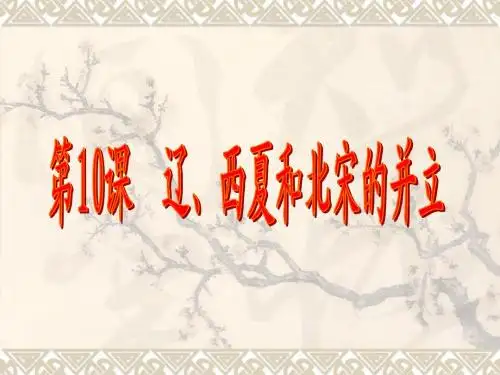 辽西夏北宋并立 pj