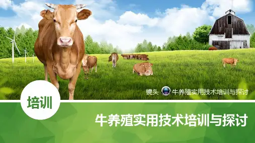 牛养殖技术培训ppt(品种、技术、场地建设等全套)