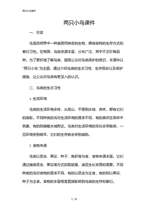2024年两只小鸟课件