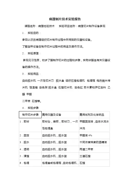 病理制片技术实验报告