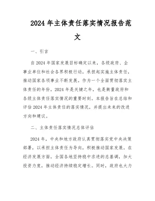 2024年主体责任落实情况报告范文
