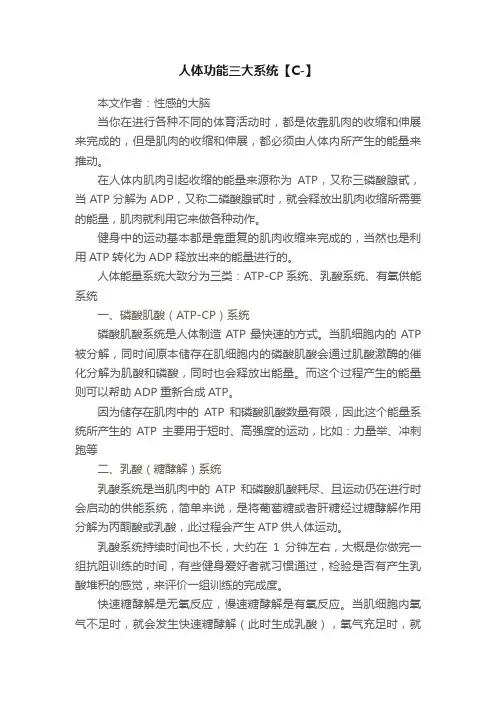 人体功能三大系统【C-】