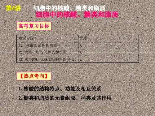 2012届高考一轮复习生物《核酸糖类和脂质》课件(必修1人教版)