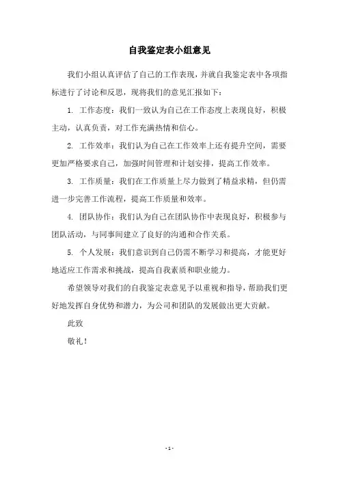 自我鉴定表小组意见