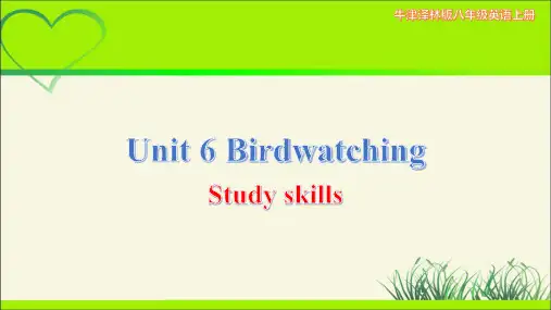 牛津译林版八年级英语上册Unit 6 Birdwatching第6课时示范课教学课件