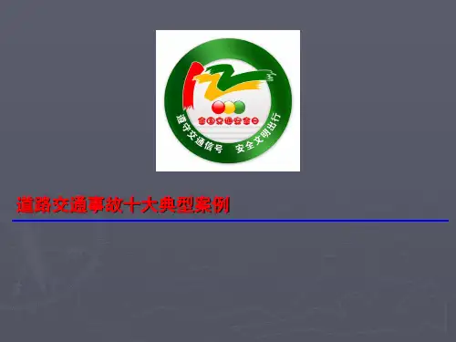 道路交通事故十大典型案例