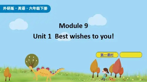 《Best Wishes to you》PPT课件(第1课时)
