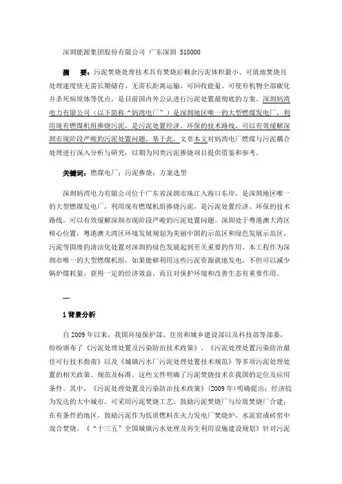 妈湾电厂燃煤与污泥耦合处理分析与研究