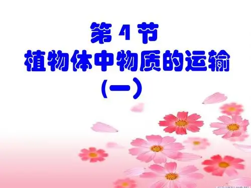 八年级下第3章第四节植物体中物质的运输(含2课时)