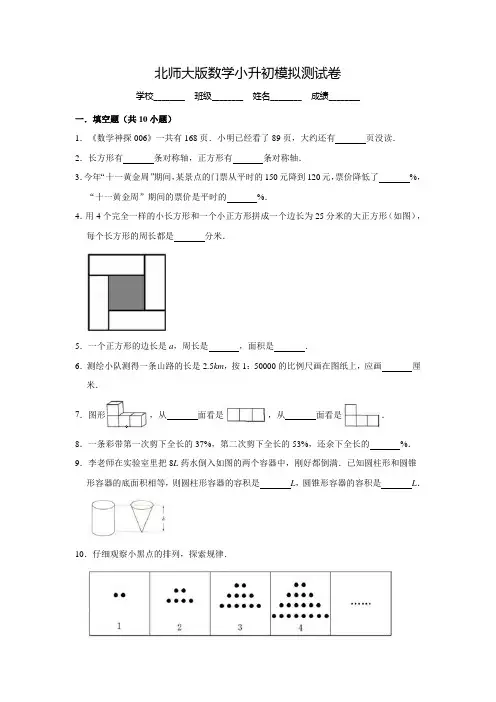 北师大版小升初数学测试卷(附答案解析)