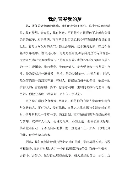我的青春我的梦