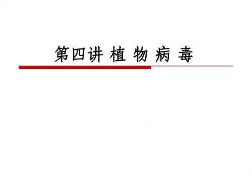 植物病毒
