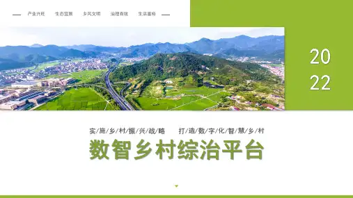 数智乡村综治平台解决方案