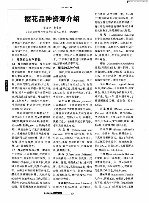 樱花品种资源介绍
