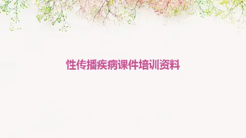 性传播疾病课件培训资料