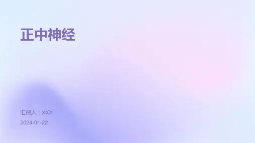 正中神经教学演示课件