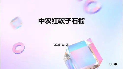 中农红软子石榴