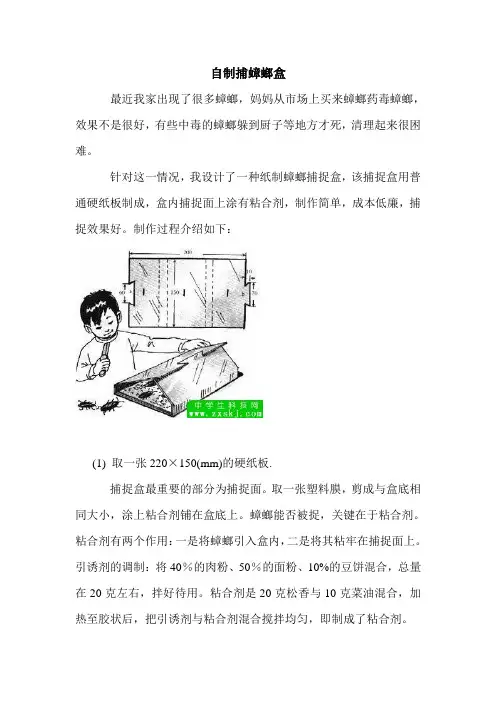 小发明-自制捕蟑螂盒(收藏备用)