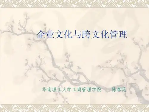 企业文化与跨文化管理-――陈春花2006