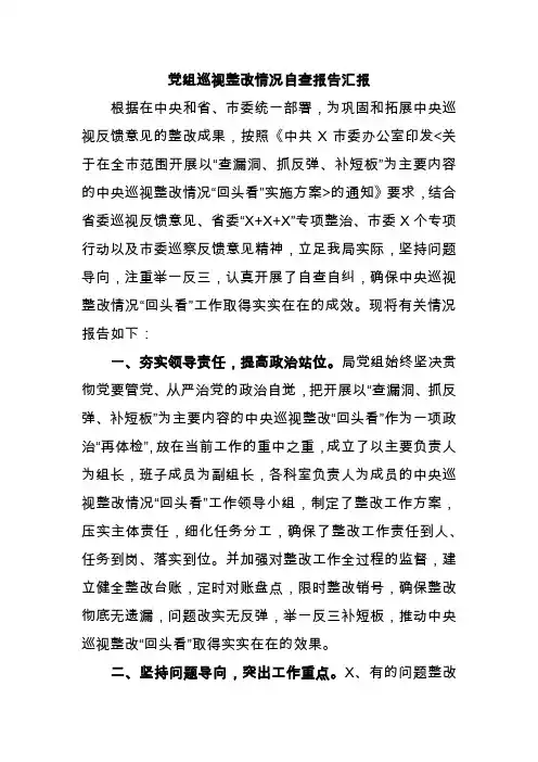党组巡视整改情况自查报告汇报