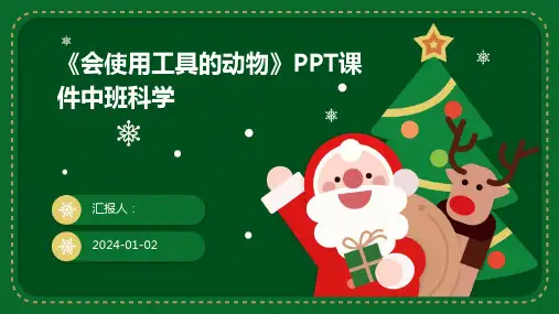 《会使用工具的动物》PPT课件中班科学