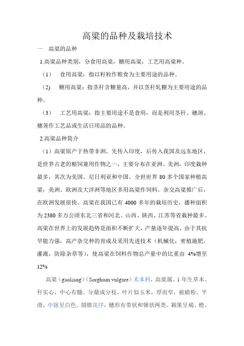 高粱的品种及栽培技术