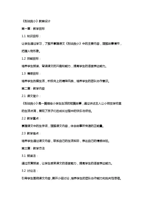 《别说我小》教案设计