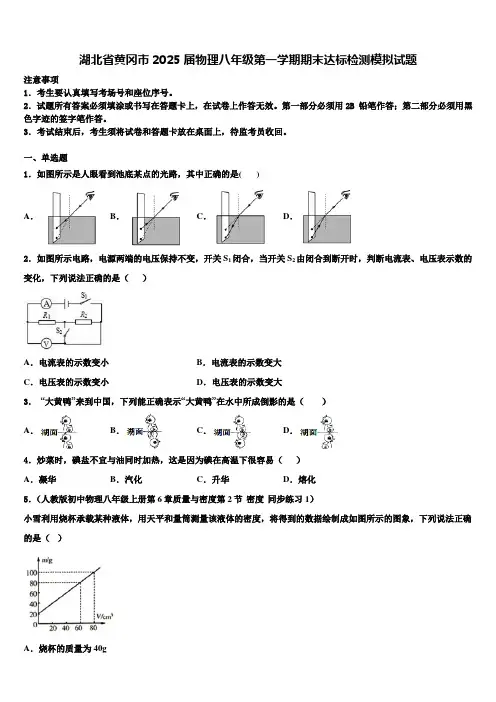 湖北省黄冈市2025届物理八年级第一学期期末达标检测模拟试题含解析