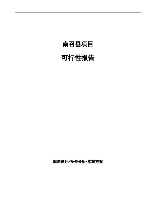 南召县项目可行性报告(备案)